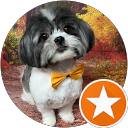 Maxine Jones profile picture