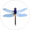 Michael Roebuck profile picture