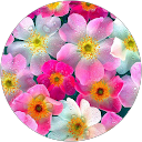ZKF profile picture